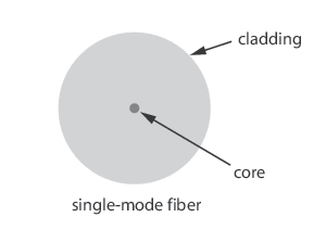 cross section of single-mode fiber show with cladding and core identified