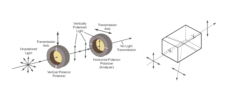 Impact of a dichroic polarizer on unpolarized light