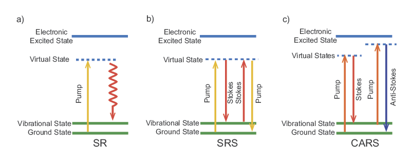 Energy diagrams of Raman interactions: Spontaneous Raman (SR), SRS, and CARS