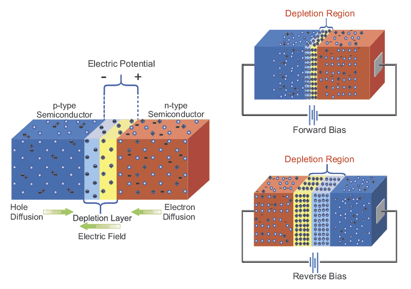 The p-n junction and current flow characteristics of a p-n junction diode