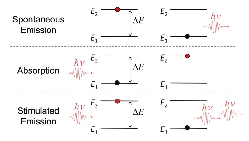 The three radiation processes that can occur when photons of light interact with atoms making up matter