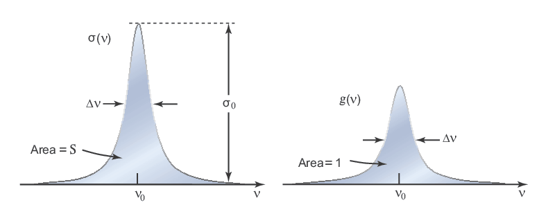 The transition cross section and the lineshape function
