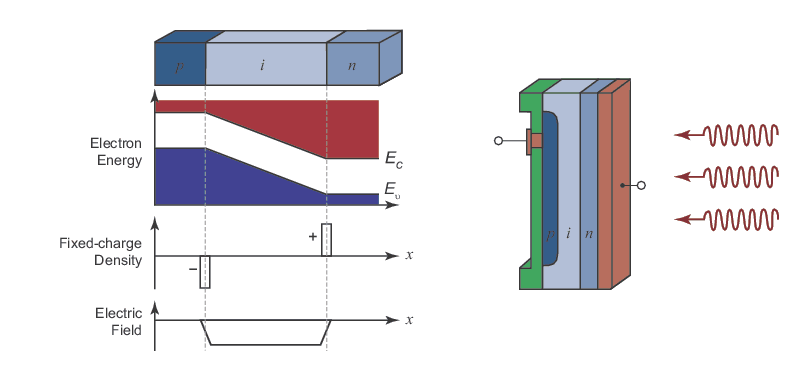 he p-i-n photodiode structure, energy-band diagram, charge distribution, and electric-field distribution