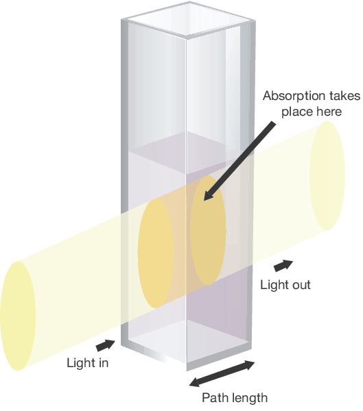 Cuvettes and Cuvette Holders
