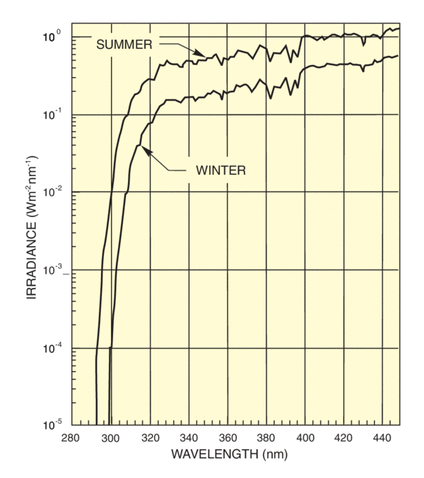 Typical solar noon UV spectra in summer and winter