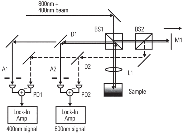 Experimental set-up designed for field-based light scattering spectroscopic technique