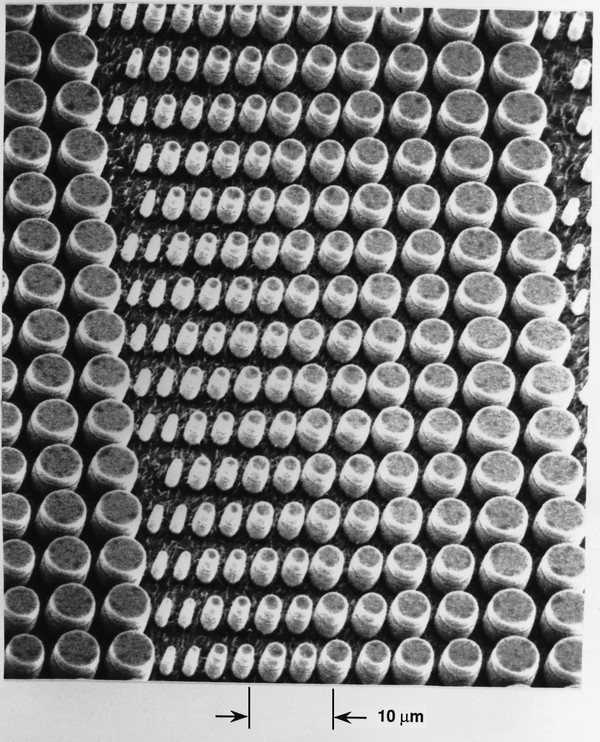 Scanning electron micrograph of a 2-dimensional VCSEL array